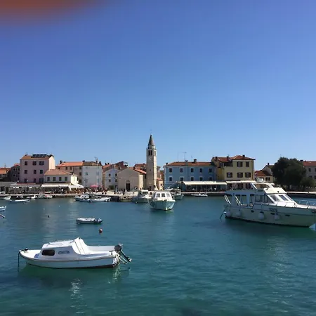 Lisek * Pula